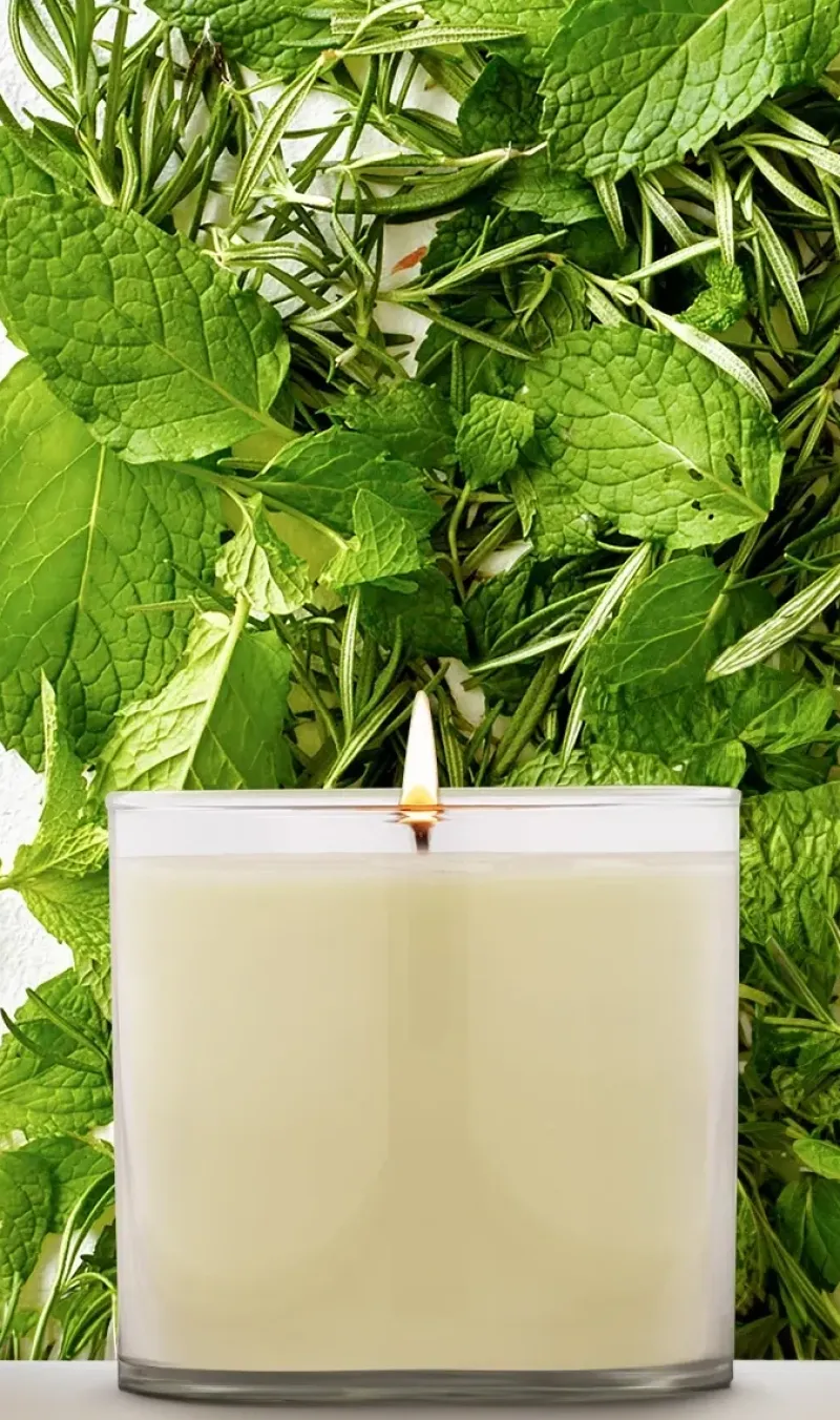 AVEDA Rosemary & Mint Soy Wax Candle | MECCA Fashion