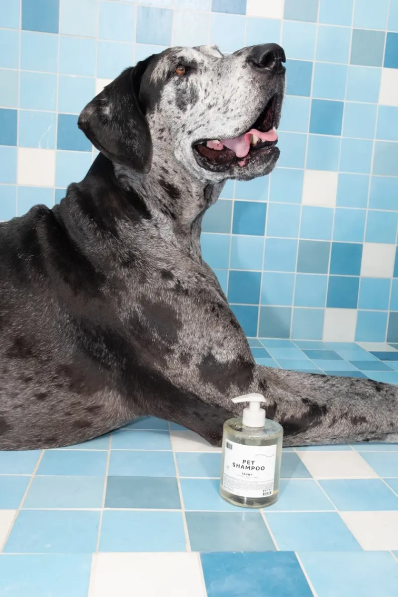 DedCool Pet Shampoo Refill | MECCA Fashion