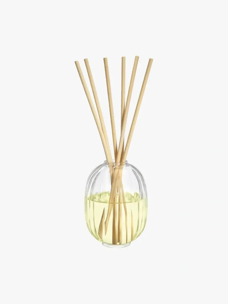 DIPTYQUE 34 Boulevard Saint Germain Diffuser Refill | MECCA Clearance