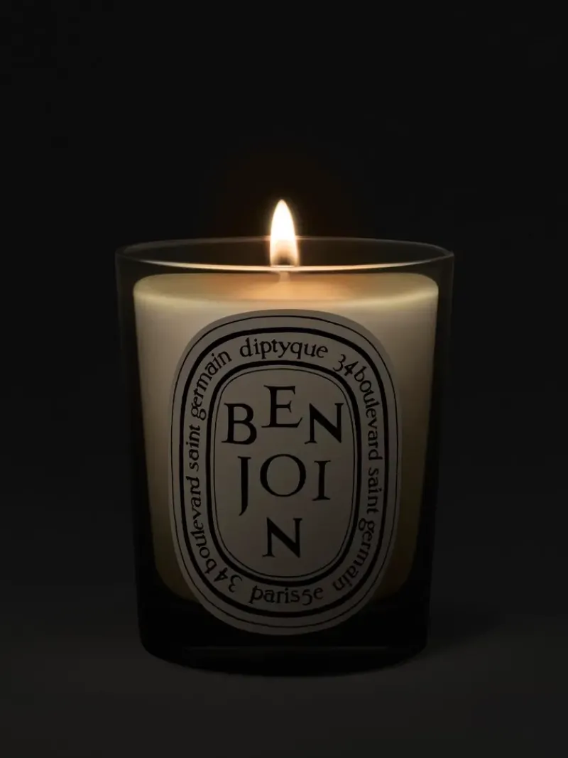 DIPTYQUE Benjoin Candle | MECCA Outlet