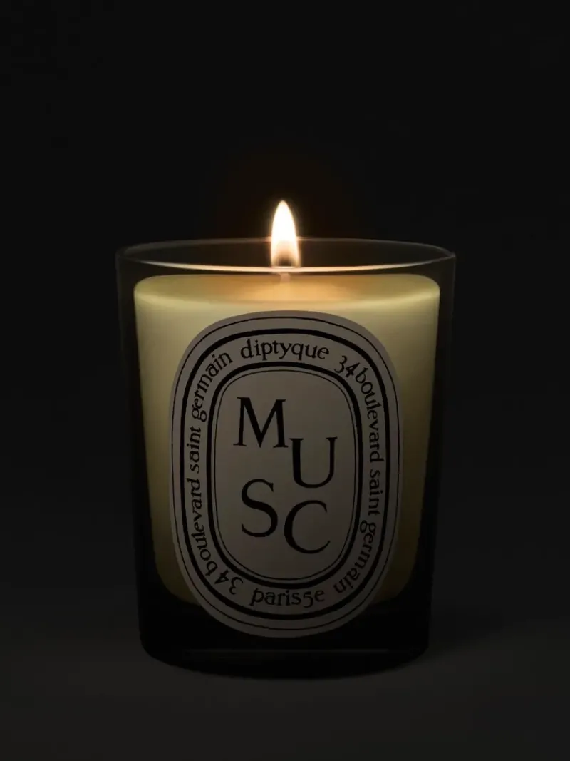 DIPTYQUE Musc Candle | MECCA Outlet