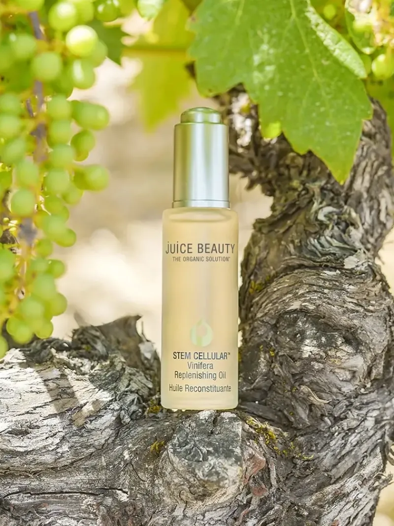 juice_beauty_stem_cellula_3.webp Juice Beauty STEM CELLULAR Vinifera Replenishing Oil | MECCA Best