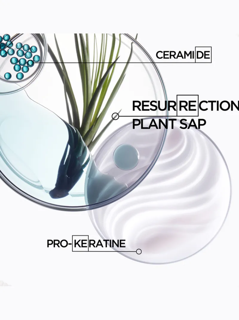 krastase_resistance_blowd_4.webp Kérastase Resistance Blow-Dry Primer for Damaged Hair | MECCA Clearance