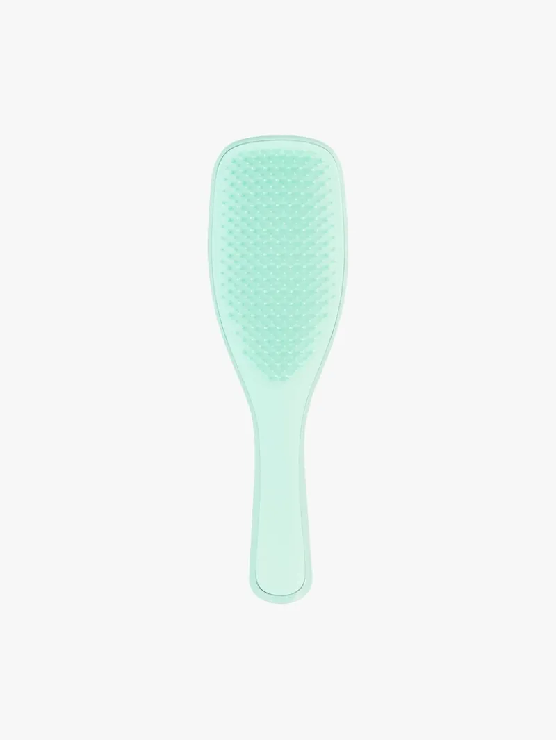 Tangle Teezer Fine & Fragile Wet Detangler Mint | MECCA Best