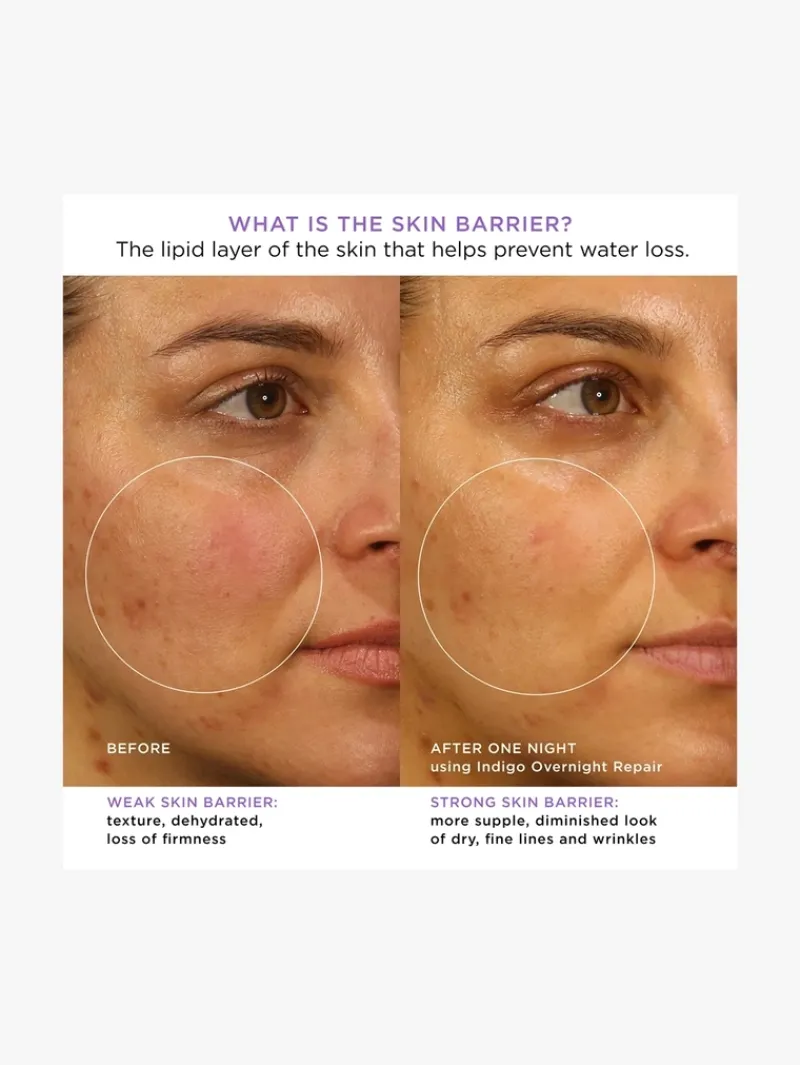 tatcha_the_indigo_overnig_4.webp Tatcha The Indigo Overnight Repair Cream | MECCA New